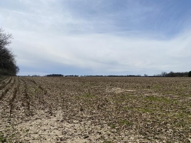 Discover a rare opportunity to own 177 acres of diverse and - photo 18