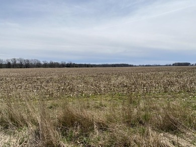 Discover a rare opportunity to own 177 acres of diverse and - photo 19