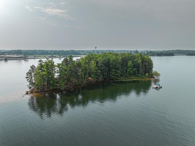 Here's your chance to own a part of Minocqua Chain history - photo 21