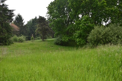 Discover a rare opportunity to own 177 acres of diverse and - photo 21