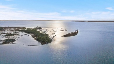 Incredible WATERFRONT OPPORTUNITY offering .76 ACRES of pristine - photo 22