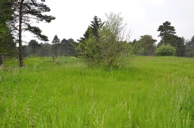 Discover a rare opportunity to own 177 acres of diverse and - photo 22