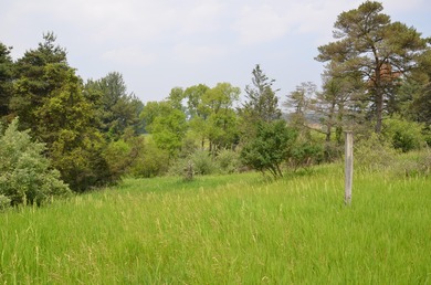 Discover a rare opportunity to own 177 acres of diverse and - photo 23