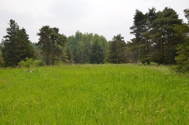 Discover a rare opportunity to own 177 acres of diverse and - photo 24