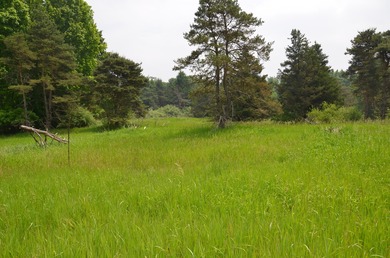 Discover a rare opportunity to own 177 acres of diverse and - photo 25