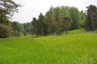 Discover a rare opportunity to own 177 acres of diverse and - photo 26