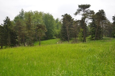 Discover a rare opportunity to own 177 acres of diverse and - photo 27