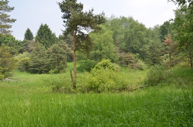 Discover a rare opportunity to own 177 acres of diverse and - photo 28