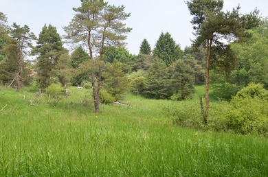 Discover a rare opportunity to own 177 acres of diverse and - photo 29