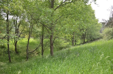 Discover a rare opportunity to own 177 acres of diverse and - photo 30