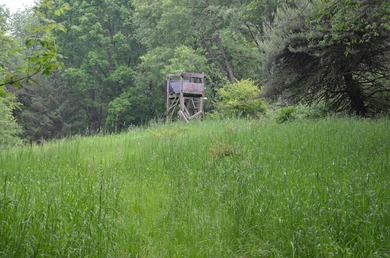 Discover a rare opportunity to own 177 acres of diverse and - photo 33