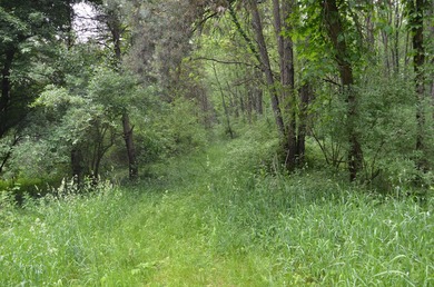 Discover a rare opportunity to own 177 acres of diverse and - photo 34