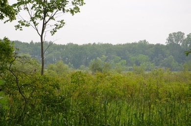 Discover a rare opportunity to own 177 acres of diverse and - photo 35