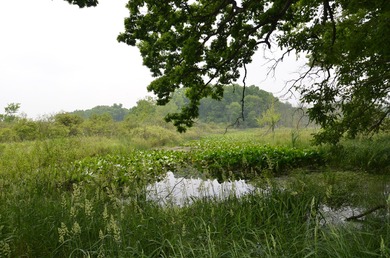 Discover a rare opportunity to own 177 acres of diverse and - photo 36