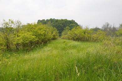 Discover a rare opportunity to own 177 acres of diverse and - photo 37