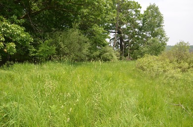 Discover a rare opportunity to own 177 acres of diverse and - photo 38