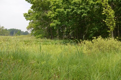 Discover a rare opportunity to own 177 acres of diverse and - photo 39