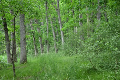 Discover a rare opportunity to own 177 acres of diverse and - photo 41