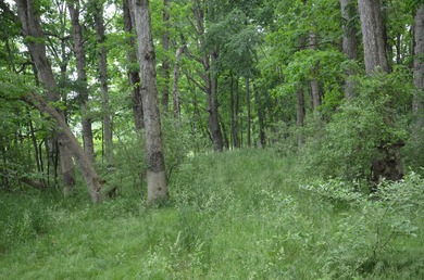 Discover a rare opportunity to own 177 acres of diverse and - photo 42
