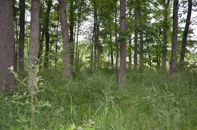 Discover a rare opportunity to own 177 acres of diverse and - photo 43