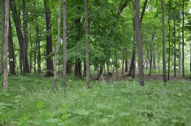 Discover a rare opportunity to own 177 acres of diverse and - photo 44