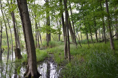 Discover a rare opportunity to own 177 acres of diverse and - photo 47