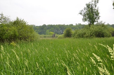 Discover a rare opportunity to own 177 acres of diverse and - photo 48