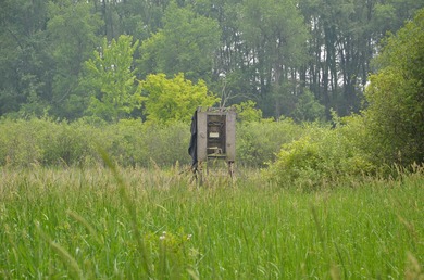 Discover a rare opportunity to own 177 acres of diverse and - photo 49