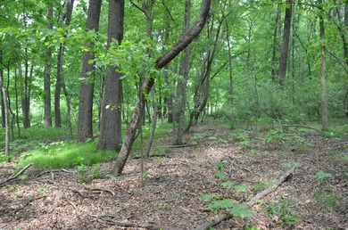 Discover a rare opportunity to own 177 acres of diverse and - photo 50