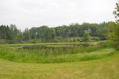 Discover a rare opportunity to own 177 acres of diverse and - photo 51