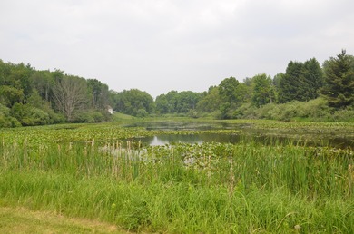 Discover a rare opportunity to own 177 acres of diverse and - photo 54