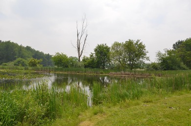 Discover a rare opportunity to own 177 acres of diverse and - photo 55