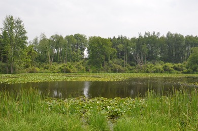 Discover a rare opportunity to own 177 acres of diverse and - photo 56