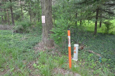 Discover a rare opportunity to own 177 acres of diverse and - photo 57