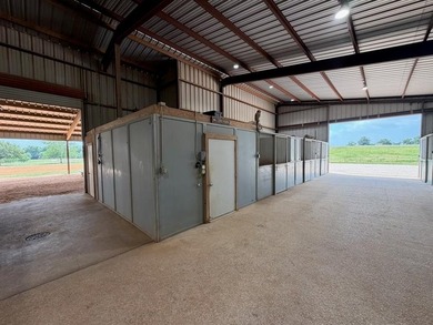 Welcome to an exceptional horse and cattle property in the heart - photo 4