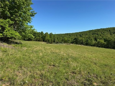 340+/- beautifully manicured acres in the Venus Mountain area - photo 4