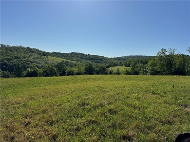 340+/- beautifully manicured acres in the Venus Mountain area - photo 6