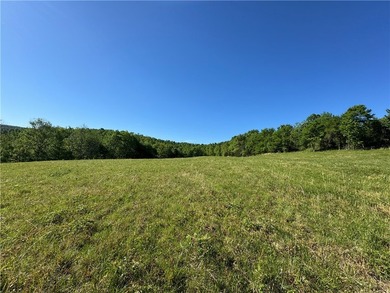 340+/- beautifully manicured acres in the Venus Mountain area - photo 7