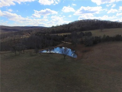 340+/- beautifully manicured acres in the Venus Mountain area - photo 8