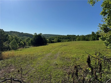 340+/- beautifully manicured acres in the Venus Mountain area - photo 10