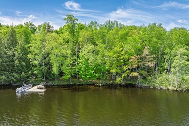 Squirrel Lake Lodge - A truly one-of-a-kind estate on highly - photo 41
