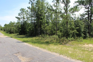 Lake Lot For Sale in Chipley, Florida