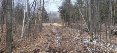 Green Chazy River  Acreage Sale Pending in Mooers New York