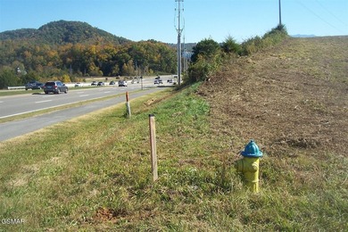 20.85 Acres with 762 feet fronting on the new Jake Thomas Rd! - photo 11
