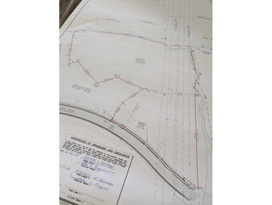 20.85 Acres with 762 feet fronting on the new Jake Thomas Rd! - photo 13