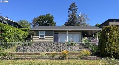 Price reduced $20K! Updated one-level home with 3 bedrooms and 1 - photo 1