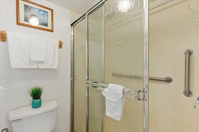 Aloha and welcome to Kihei Akahi C-317! This hotel-zoned - photo 30