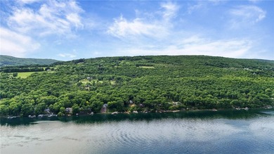 Experience the beauty of the Finger Lakes from this exceptional - photo 44