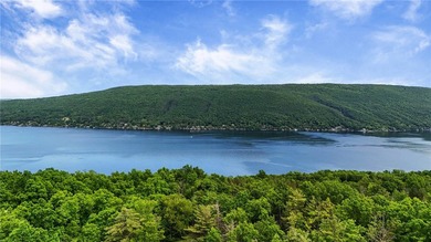 Experience the beauty of the Finger Lakes from this exceptional - photo 45