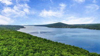 Experience the beauty of the Finger Lakes from this exceptional - photo 46